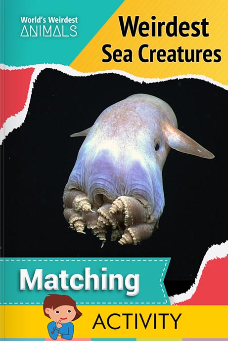 New Release Image
