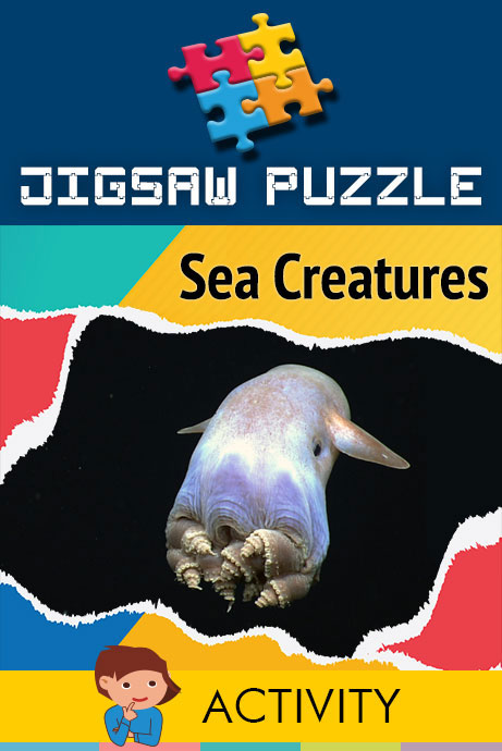 New Release Image