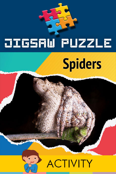 New Release Image