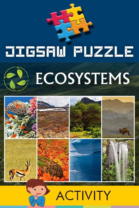 New Release Image